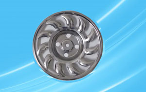 wheel cap rimzim