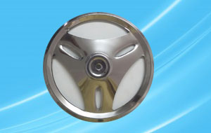 wheel cap singar